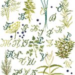 Herbes aromatiques