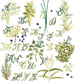 Herbes aromatiques