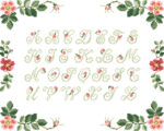 Lettres et fleurs