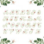 Lettres et fleurs