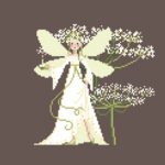 Fée Ombelle