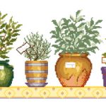 Plantes aromatiques en pot