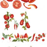 Tomates et piments