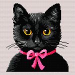 Chat noir